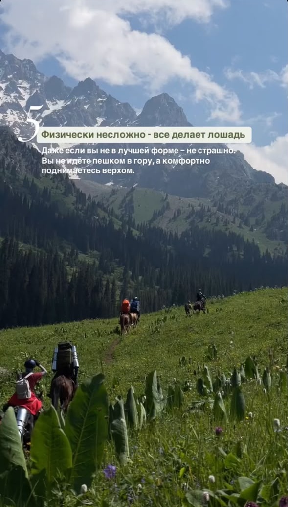Конный тур в горах