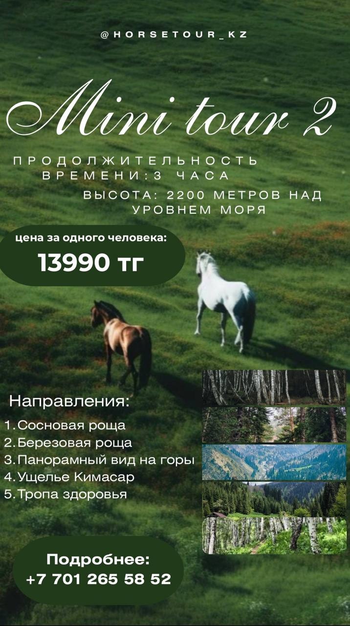 Mini tour 2